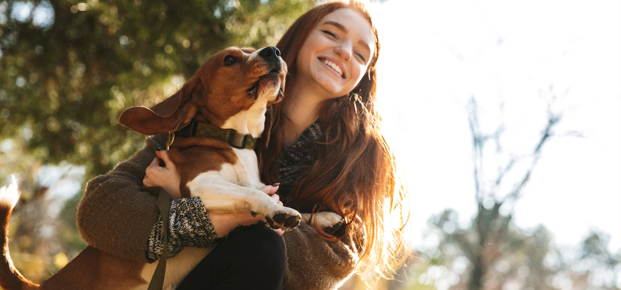 A Holistic Approach to Canine Health: Doglabs Probiotic Support and Beyond