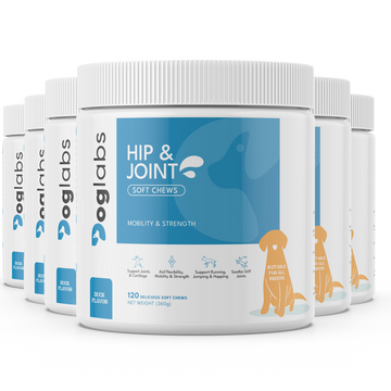 6x Hip & Joint Soft Chews