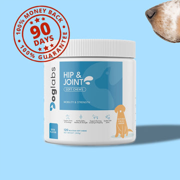 Hip & Joint Chews Upsell